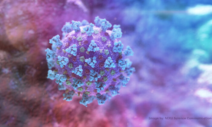 Virus corona. (Ảnh NEXU Science Communication / Reuters)