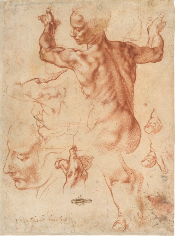 Các nghiên cứu về Libyan Sibyl, khoảng năm 1510–1511, Michelangelo Buonarroti (1475-1564), tranh phấn đỏ với một chút nhấn nhá bằng phấn trắng trên vai trái của nhân vật, 29 x 21cm. Bảo tàng nghệ thuật Metropolitan, mua, dựa trên di chúc của Joseph Pulitzer (Bảo tàng Nghệ thuật Metropolitan)