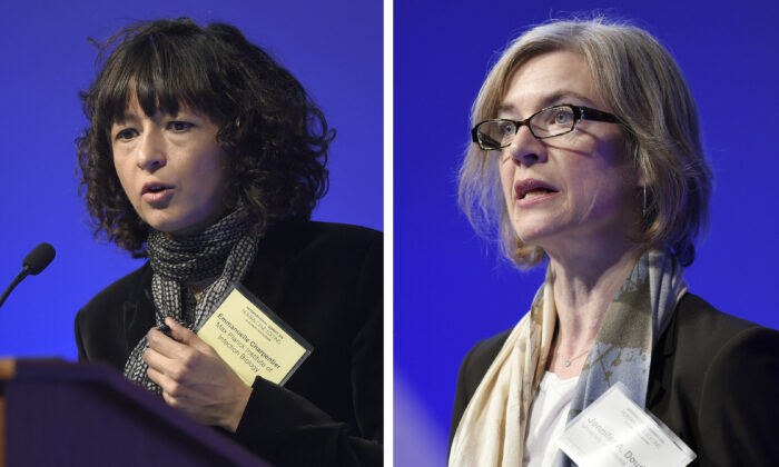Nobel hóa học 2020 về tay 2 nữ tiến sĩ nghiên cứu ‘bộ mã của sự sống’
