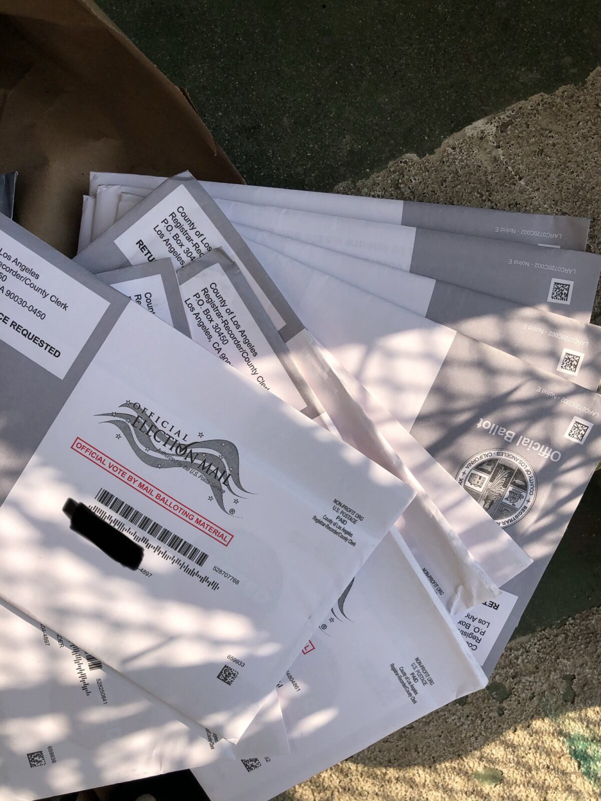 Các lá phiếu bị vứt bỏ đã được tìm thấy ở Santa Monica, California, ngày 8/10/2020. (Ảnh được sự cho phép của Osvaldo Jiménez)