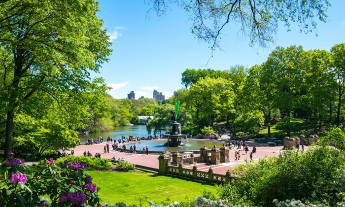 công viên Central Park  tại new york
