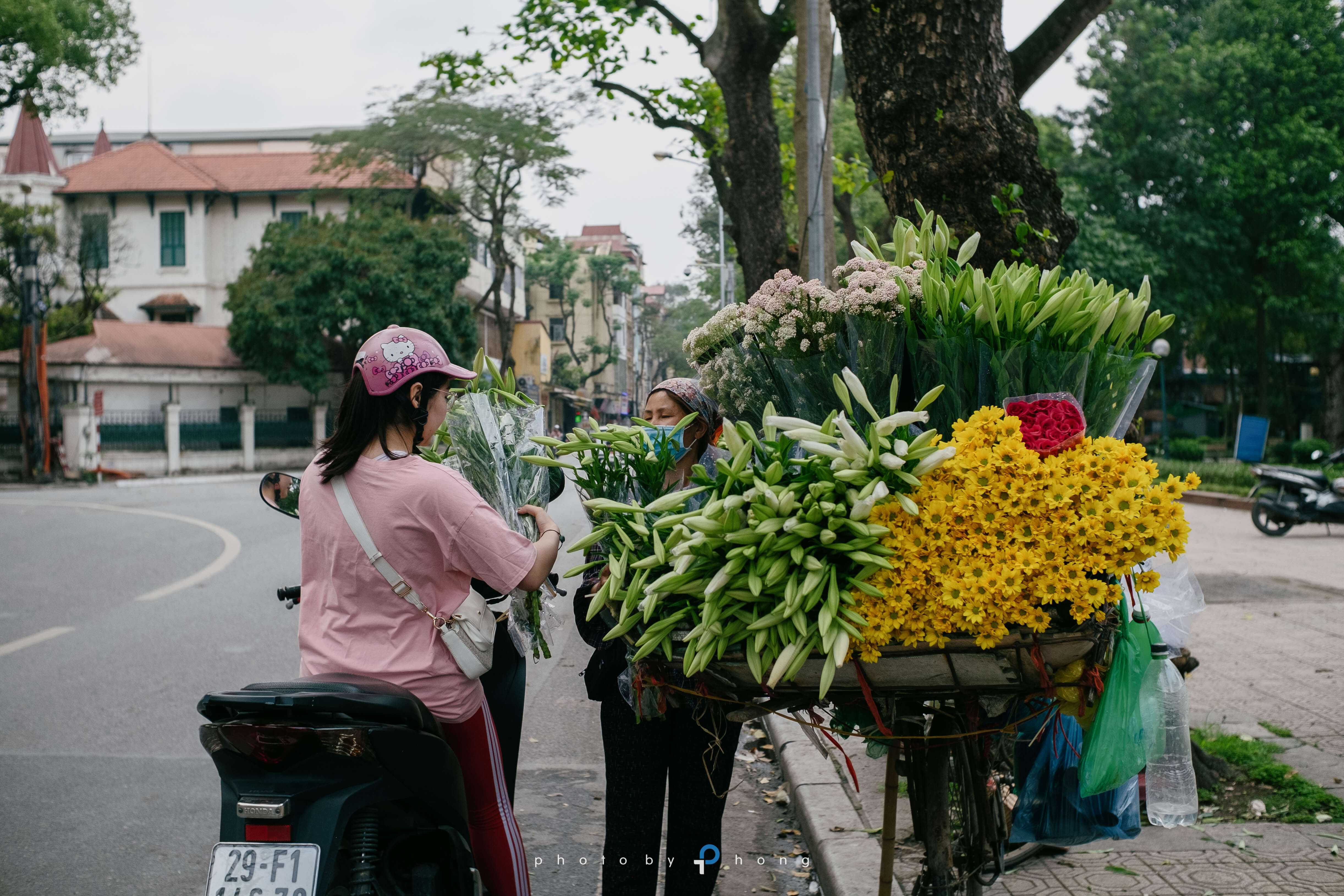 Hoa loa kèn trên phố