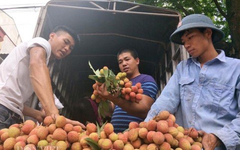 Bắc Giang đề nghị Chính phủ Việt Nam hỗ trợ tiêu thụ nông sản