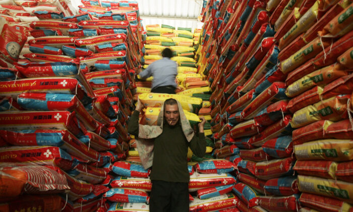 Tập Cận Bình đưa vấn đề an ninh lương thực lên mối lo ngại ‘an ninh quốc gia’