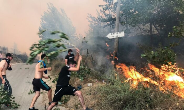 Algeria: Ít nhất 65 người thiệt mạng do cháy rừng
