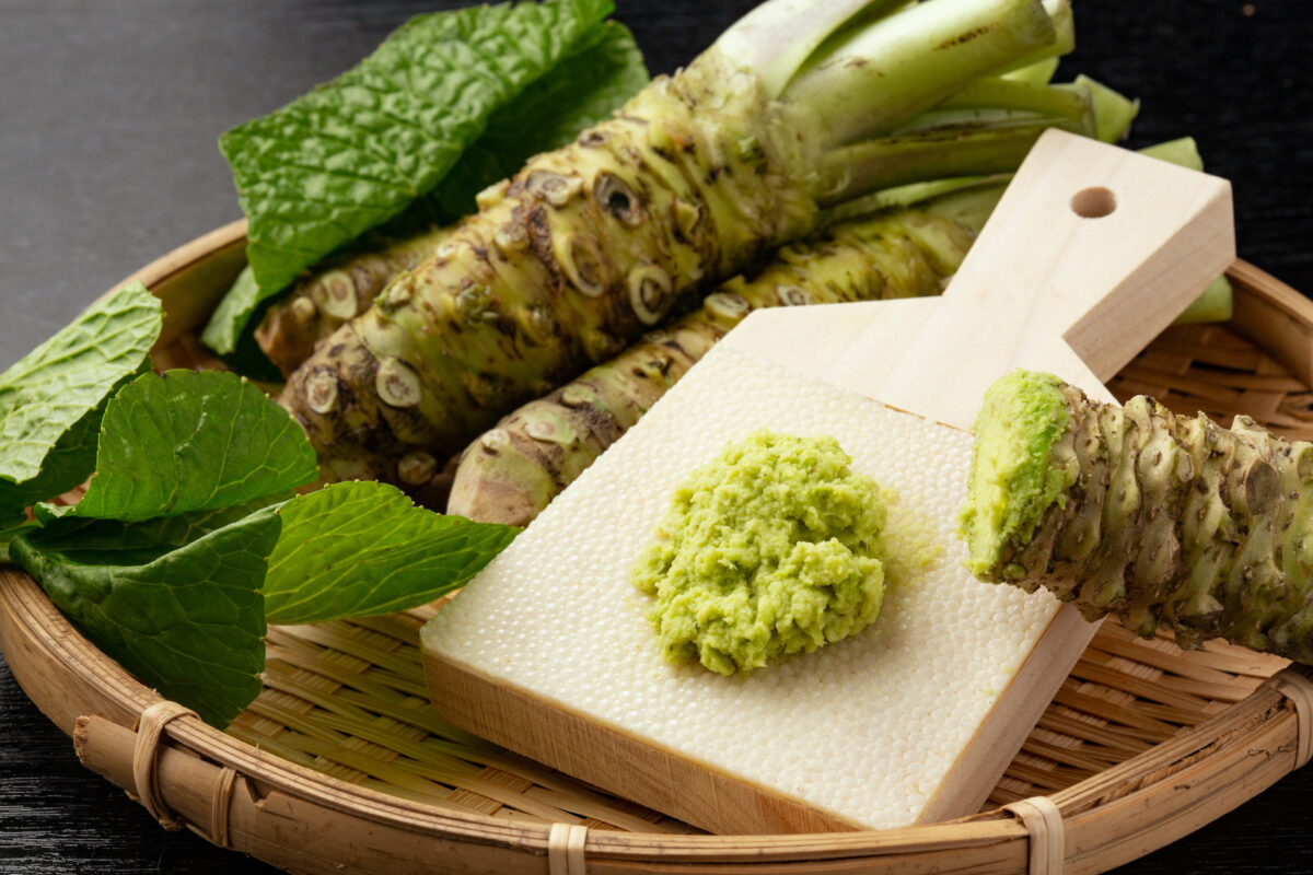 Wasabi có thể kháng lại vi khuẩn gây viêm loét dạ dày tá tràng