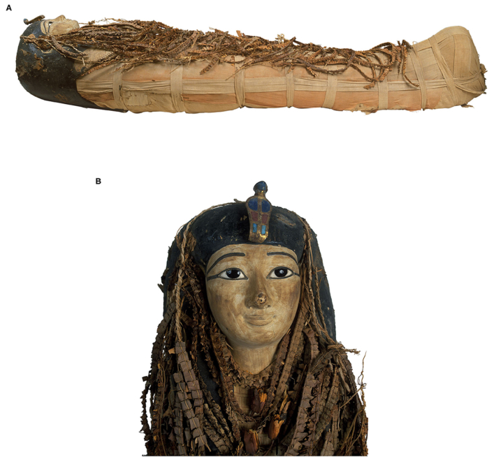 xác ướp 3,500 năm tuổi của Pharaoh Amenhotep