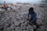 Ấn Độ sẽ cho phép xuất cảng các lô hàng lúa mì đã đăng ký trước hôm 13/05