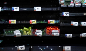 Tình trạng thỉnh thoảng thiếu lương thực ở Hoa Kỳ khiến người nhập cư lo lắng