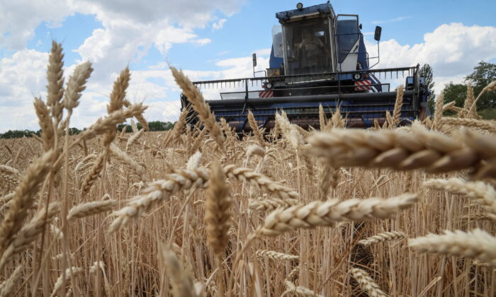 Giá lúa mì tăng sau khi hỏa tiễn Nga tấn công Odesa