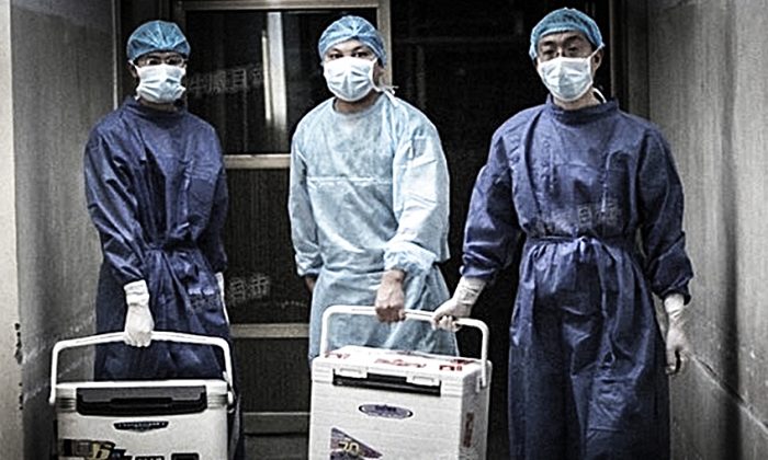 Các bác sĩ xách thùng chứa nội tạng dùng cho ca phẫu thuật cấy ghép tại một bệnh viện ở tỉnh Hà Nam vào ngày 16/08/2012. (Ảnh chụp màn hình/Sohu.com)