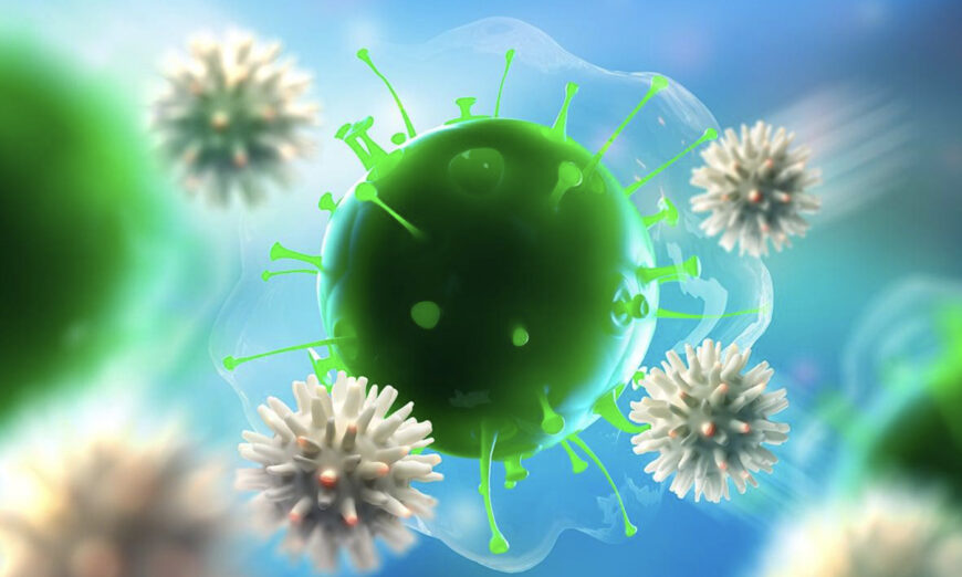 Các nhà nghiên cứu tại tỉnh bang British Columbia, Canada đang mở đường cho việc thử nghiệm các hợp chất tự nhiên giúp điều trị COVID-19 và các loại virus khác. (Ảnh: Shutterstock)