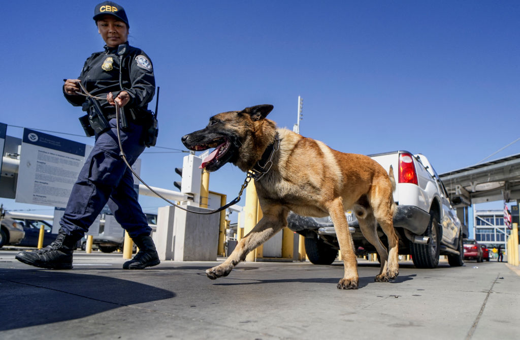 Đội chó nghiệp vụ của Cục Hải quan và Biên phòng Hoa Kỳ đang kiểm tra các phương tiện để tìm hàng lậu trong một hàng xe đang xếp hàng chờ vào Hoa Kỳ tại Cảng nhập cảnh San Ysidro ở San Ysidro, California, vào ngày 02/10/2019. (Ảnh: Sandy Huffaker/AFP qua Getty Images).