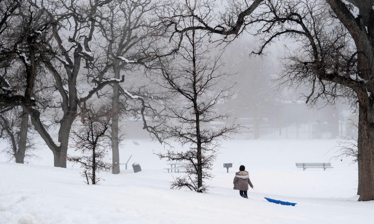 Một người kéo xe trượt tuyết đi trên tuyết tại Frazier Park ở California, hôm 27/02/2023. (Ảnh: David Crane/The Orange County Register qua AP)