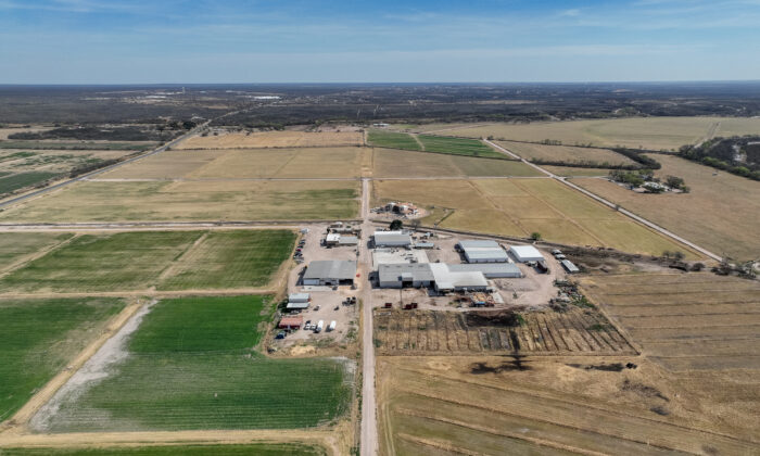 Các cánh đồng chờ được tưới tiêu ở Quemado, Texas, hôm 22/02/2023. (Ảnh: Brandon Bell/Getty Images)