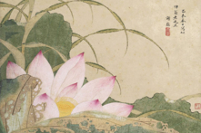 Trong trăm hoa, ngoài hoa sen ra, loài hoa nào có thể ở trần thế lại phi phàm, và thể hiện trọn vẹn cảnh giới cõi Tiên, Phật quốc được đây? Bức “Hà hoa đồ” của Tạ Tốn thời nhà Thanh. (Ảnh: Tài sản công)