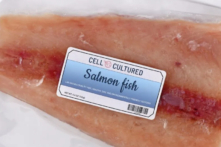 Mối quan tâm về hải sản được phát triển từ tế bào trong phòng thí nghiệm  (Ảnh: Firn/Shutterstock)