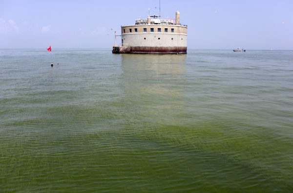 Cũi lấy nước của Thành phố Toledo được bao quanh bởi tảo, Chủ nhật, ngày 03/08/2014, ở Hồ Erie, cách bờ biển Curtice, Ohio khoảng 2.5 dặm. (Ảnh: AP/Haraz N. Ghanbari)