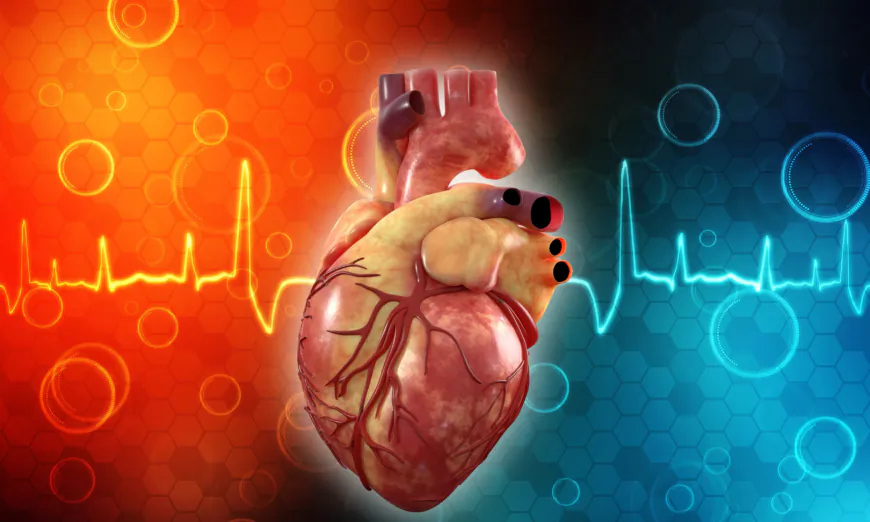 Nghiên cứu cho thấy ảnh hưởng của viêm cơ tim do vaccine có thể kéo dài hơn 5 tháng. (Ảnh: deepadesigns/Shutterstock)
