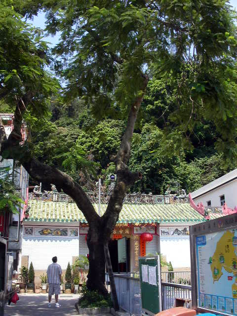 Bên cạnh ngôi miếu cổ Quan Đế, dân làng thường hóng mát nói chuyện phiếm dưới tán cây. (Ảnh: Phóng viên Epoch Times Hồng Kông)