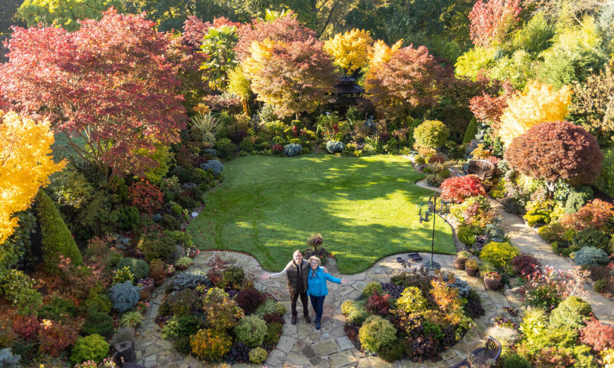 Đôi vợ chồng người Anh về hưu biến khu vườn thành một ốc đảo tuyệt đẹp, tràn ngập màu sắc từ 3,000 loại thực vật