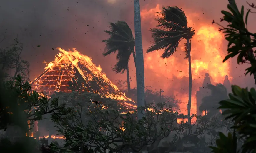 Đảo Maui của Hawaii vẫn cháy rừng dữ dội, số lượng mất tích lên đến 1,000 người