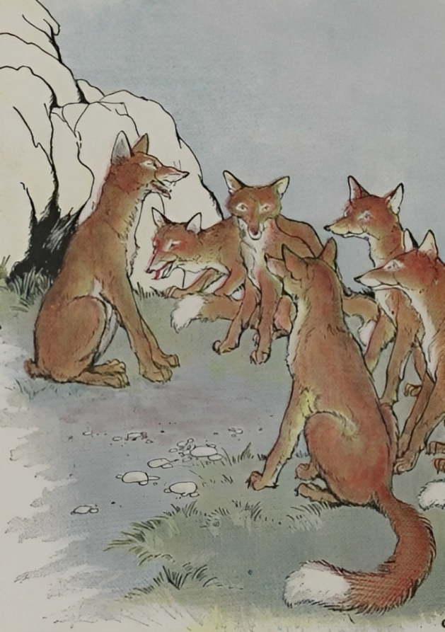 Tranh minh họa “The Fox Without a Tail” (Chú cáo cụt đuôi) của họa sĩ Milo Winter, từ quyển sách “The Aesop for Children” (Truyện ngụ ngôn Aesop dành cho trẻ em) năm 1919. (Ảnh: PD-US)