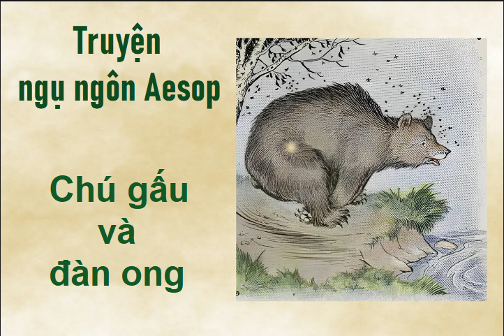 Truyện ngụ ngôn Aesop: Chú gấu và đàn ong