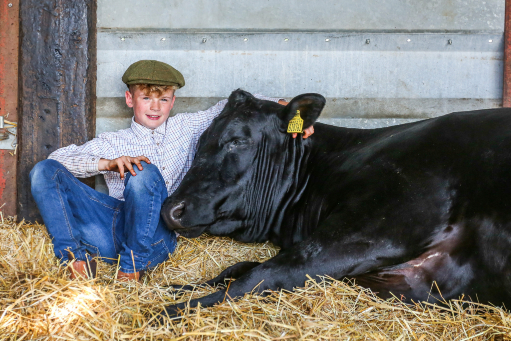 Cậu bé Joe Trofer với con bò Rosie ở nông trại của mình tại Lincolnshire. (Ảnh: SWNS)