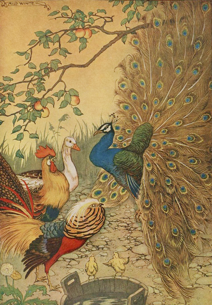 Tranh minh họa “The Peacock” (Chim Công) của họa sĩ Milo Winter, vẽ cho “The Aesop for Children” (Truyện Ngụ Ngôn Aesop Dành Cho Trẻ Em) năm 1919. (Ảnh: PD-US)