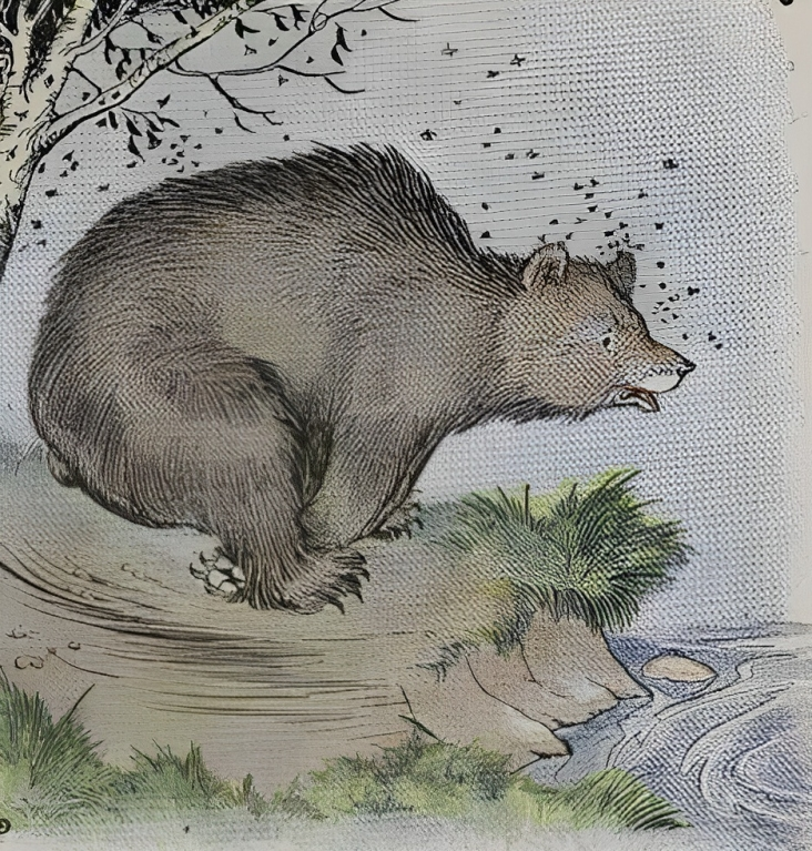 Tranh minh họa “Chú Gấu và Đàn Ong,” do họa sĩ Milo Winter vẽ từ bộ truyện “The Aesop for Children” (Truyện Ngụ Ngôn Aesop Dành Cho Trẻ Em) năm 1919. (Ảnh: PD-US)