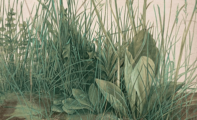 ‘Góc sân cỏ xinh đẹp’ của họa sĩ Albrecht Durer