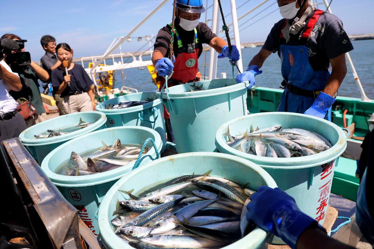 Công nhân nghề cá dỡ hải sản đánh bắt được bằng lưới kéo xa bờ tại cảng Matsukawaura ở Thành phố Soma, quận Fukushima hôm 01/09/2023. (Ảnh: STR/JIJI Press/AFP qua Getty Images)