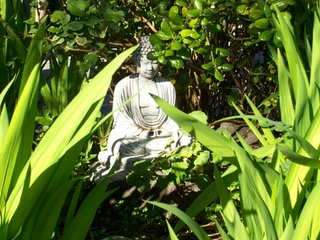 Bức tượng Phật lúc đầu được đặt trên mặt đất với cây cối mọc xung quanh. (Ảnh: Được đăng dưới sự cho phép của ông Dan Stevenson)