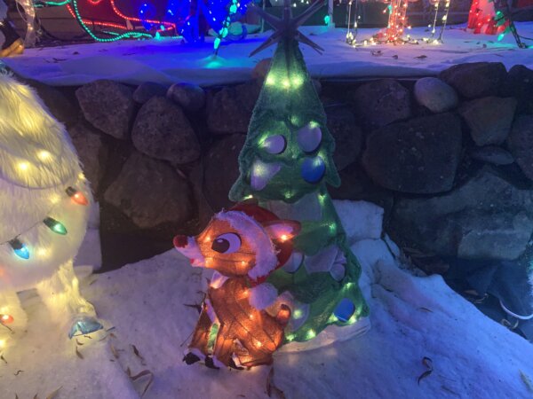 Chú tuần lộc Rudolph được thắp sáng tại nhà của bà Cindy và ông John Bruno ở Concord, California, hôm 19/12/2023. (Ảnh: Helen Billings/The Epoch Times)