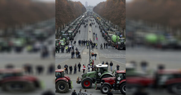 Nông dân đậu máy kéo trước Cổng Brandenburg ở Berlin, Đức, vào ngày 26/11/2019. (Ảnh: Michael Sohn/AP)
