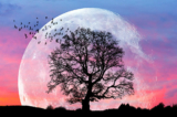 Ảnh minh họa siêu trăng. (Ảnh: Shutterstock)