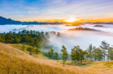 Phá bỏ màn sương mù trong mệnh số. (Ảnh: Shutterstock)