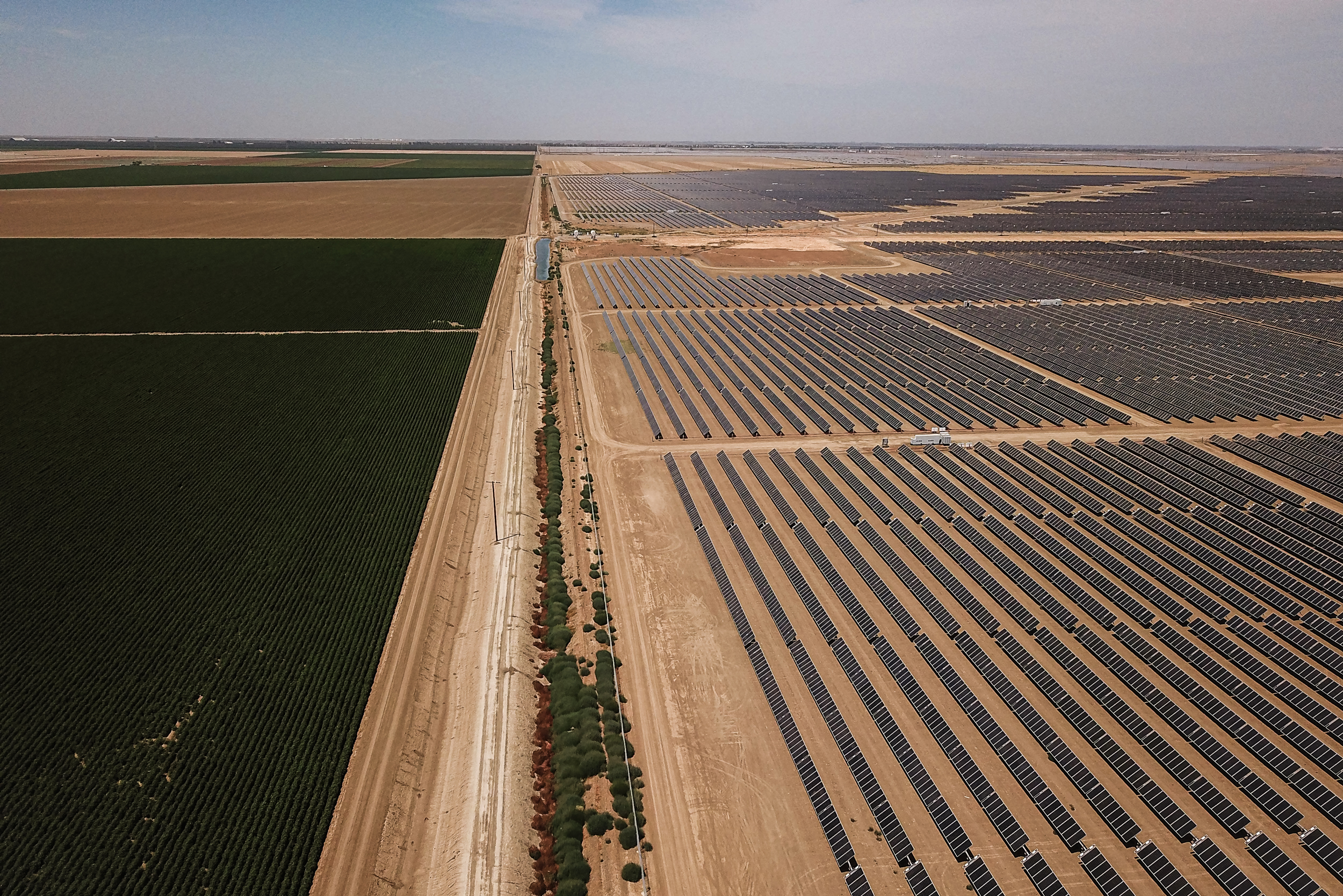 Một dãy pin quang năng trên một cánh đồng trước đây từng được sử dụng cho nông nghiệp, gần Huron, California, hôm 23/07/2021. (Ảnh: Robyn Beck/AFP qua Getty Images)