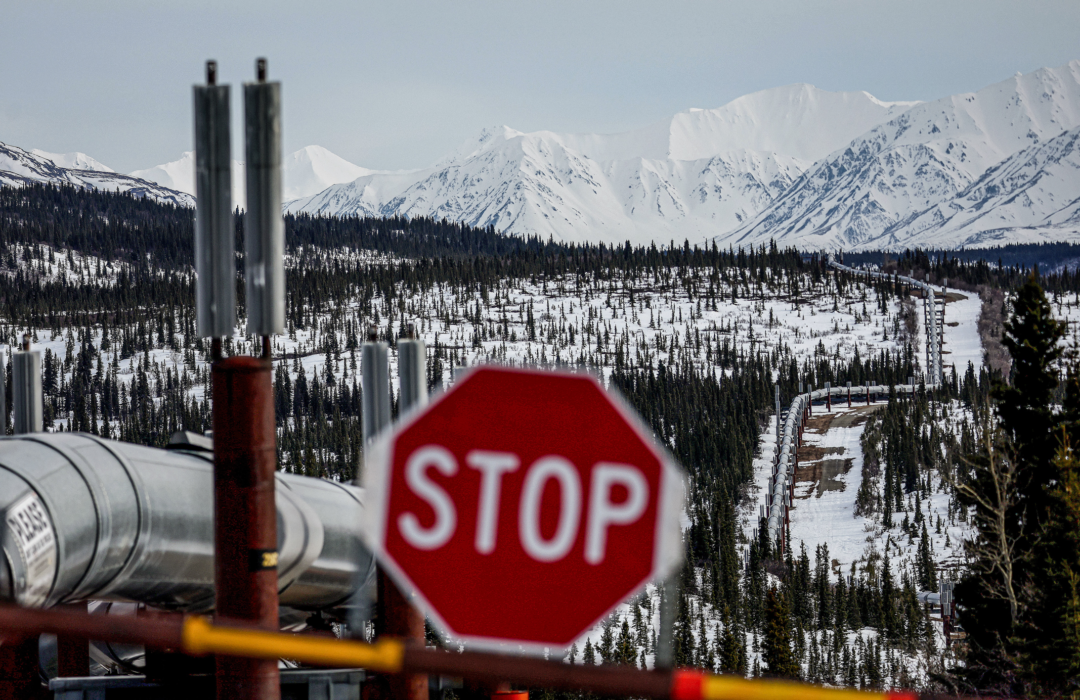 Một phần của hệ thống đường ống xuyên Alaska chạy qua khu rừng phương bắc qua dãy núi Alaska Range gần Delta Junction, Alaska, hôm 05/05/2023. (Ảnh: Mario Tama/Getty Images)