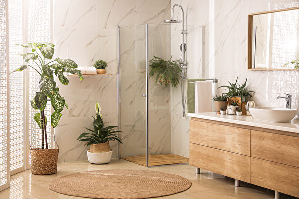 Đặt vài chậu cây trong phòng tắm, vừa có tác dụng hút ẩm, thanh lọc không khí, vừa có thể tô điểm thêm không gian nhà tắm. (Ảnh: Shutterstock)