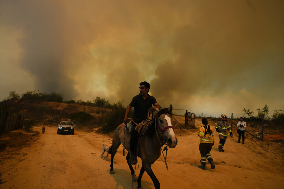 Cháy rừng dữ dội ở miền trung Chile, ít nhất 112 người thiệt mạng