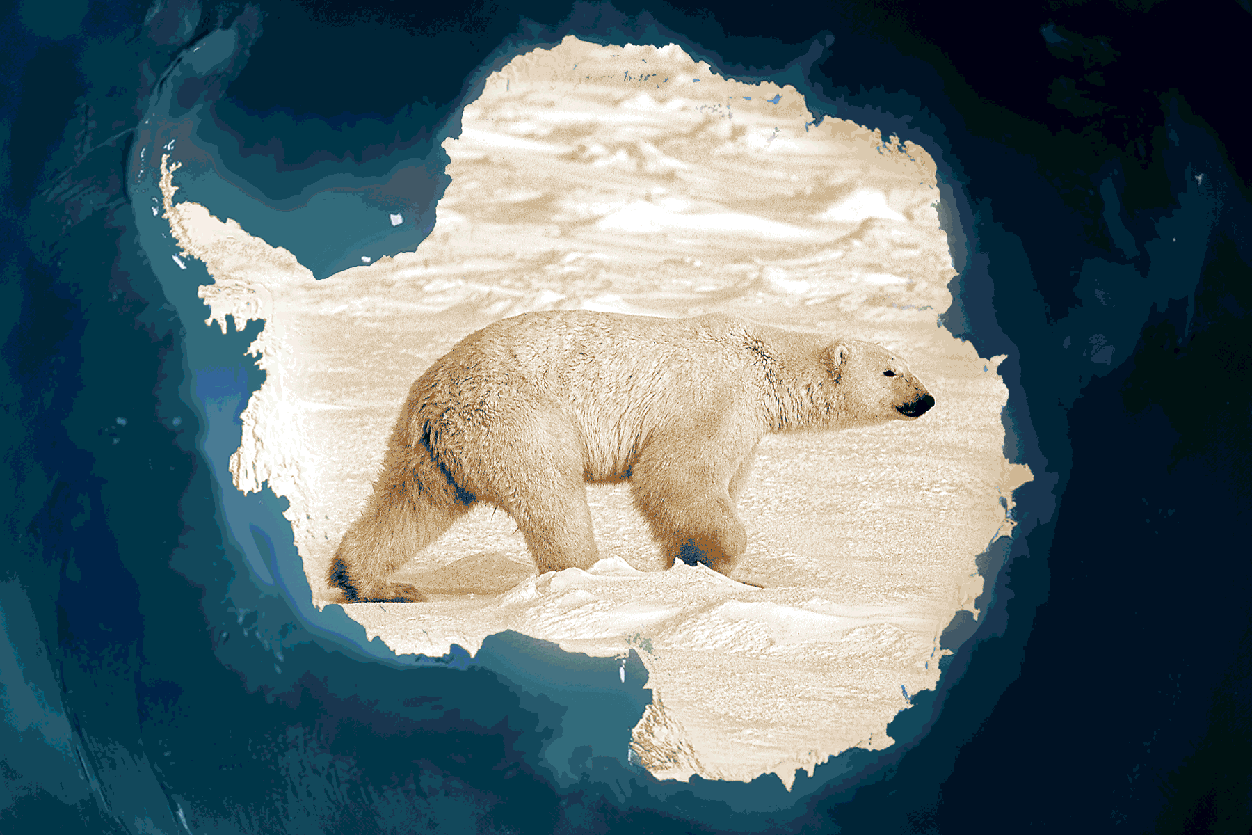 Liên Hiệp Quốc cho rằng băng tan ở Bắc Cực là dấu hiệu chính của biến đổi khí hậu — thế nhưng, băng lại không tan