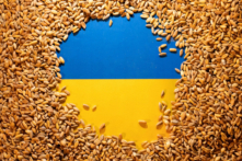 Một lá cờ Ukraine được bao phủ bởi các hạt ngũ cốc trong bức hình minh họa này, vào ngày 09/05/2022. (Ảnh: Dado Ruvic/Reuters)