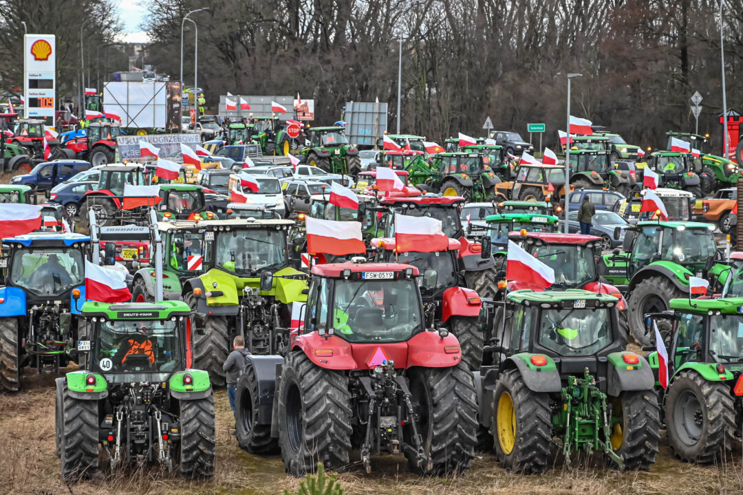 Căng thẳng Ukraine-Ba Lan gia tăng về cạnh tranh không công bằng trên thị trường nông sản EU