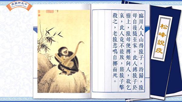 Trong “Tùng Phong thuyết dịch” kể lại câu chuyện ngược đãi động vật của một người sống ở Lâm Xuyên sau khi anh ta bắt được một con vượn nhỏ từ trong núi. (Ảnh chụp màn hình video được ủy quyền của cô Ally)