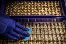 Một nhân viên lau chùi các thỏi vàng tại công ty chế tác kim loại quý ABC Refinery ở Sydney hôm 05/08/2020. (Ảnh: David Gray/AFP qua Getty Images)