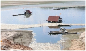 Việt Nam: Hàng trăm tấn cá chết, nổi trắng hồ thủy lợi ở Đồng Nai