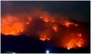 Việt Nam: Cháy lớn trên núi Cô Tô, An Giang
