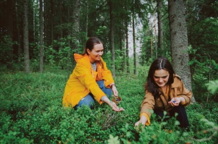 Phần Lan có thực sự là vùng đất hạnh phúc?